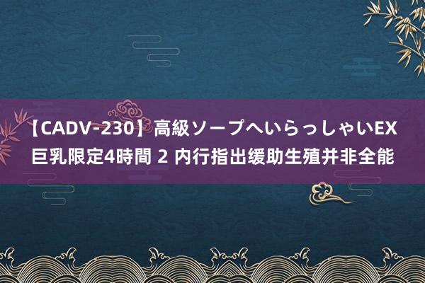 【CADV-230】高級ソープへいらっしゃいEX 巨乳限定4時間 2 内行指出缓助生殖并非全能