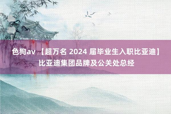 色狗av 【超万名 2024 届毕业生入职比亚迪】 比亚迪集团品牌及公关处总经