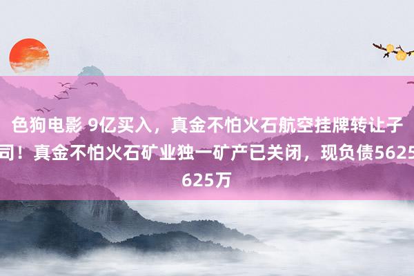 色狗电影 9亿买入，真金不怕火石航空挂牌转让子公司！真金不怕火石矿业独一矿产已关闭，现负债5625万