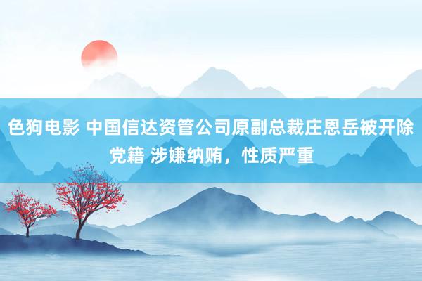 色狗电影 中国信达资管公司原副总裁庄恩岳被开除党籍 涉嫌纳贿，性质严重