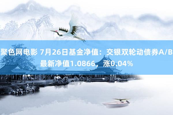 聚色网电影 7月26日基金净值：交银双轮动债券A/B最新净值1.0866，涨0.04%