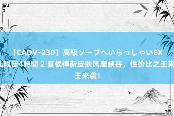 【CADV-230】高級ソープへいらっしゃいEX 巨乳限定4時間 2 夏侯惇新皮肤风靡峡谷，性价比之王来袭！