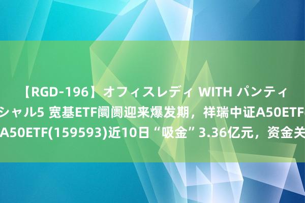 【RGD-196】オフィスレディ WITH パンティーストッキング スペシャル5 宽基ETF阛阓迎来爆发期，祥瑞中证A50ETF(159593)近10日“吸金”3.36亿元，资金关心度握续走高