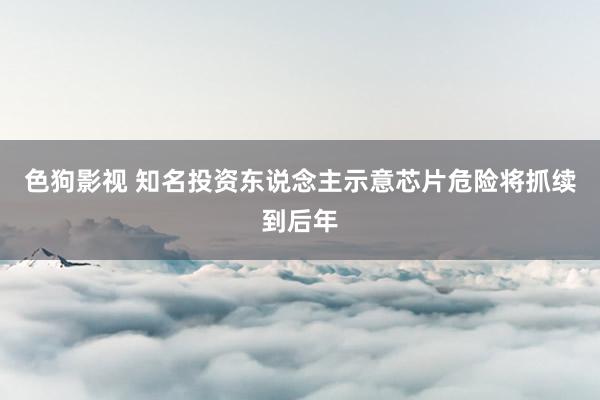 色狗影视 知名投资东说念主示意芯片危险将抓续到后年