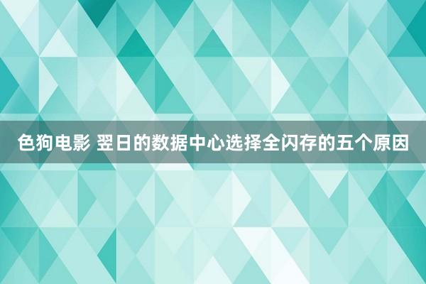 色狗电影 翌日的数据中心选择全闪存的五个原因