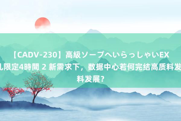 【CADV-230】高級ソープへいらっしゃいEX 巨乳限定4時間 2 新需求下，数据中心若何完结高质料发展？