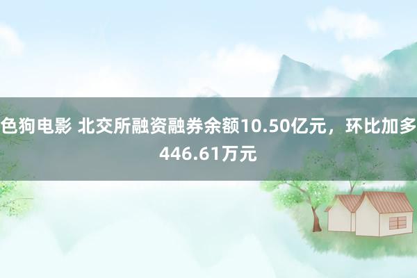 色狗电影 北交所融资融券余额10.50亿元，环比加多446.61万元