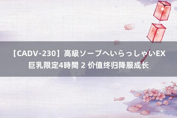 【CADV-230】高級ソープへいらっしゃいEX 巨乳限定4時間 2 价值终归降服成长