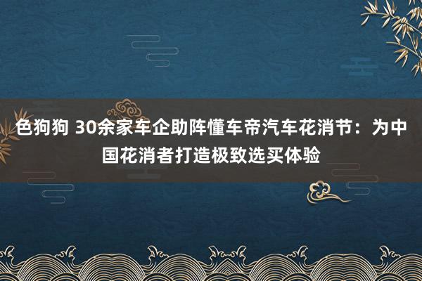 色狗狗 30余家车企助阵懂车帝汽车花消节：为中国花消者打造极致选买体验