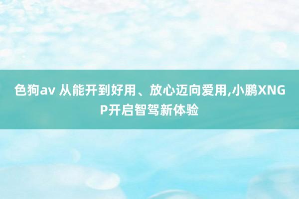 色狗av 从能开到好用、放心迈向爱用，小鹏XNGP开启智驾新体验