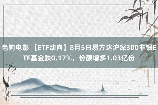 色狗电影 【ETF动向】8月5日易方达沪深300非银ETF基金跌0.17%，份额增多1.03亿份