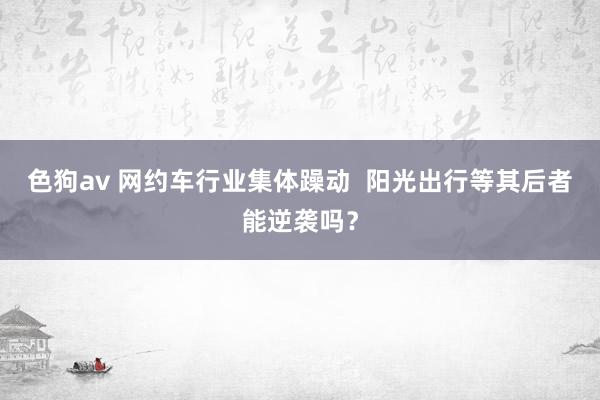 色狗av 网约车行业集体躁动  阳光出行等其后者能逆袭吗？