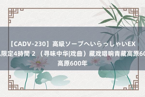 【CADV-230】高級ソープへいらっしゃいEX 巨乳限定4時間 2 （寻味中华|戏曲）藏戏唱响青藏高原600年