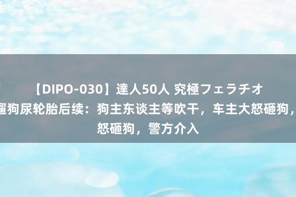 【DIPO-030】達人50人 究極フェラチオ 上海女子遛狗尿轮胎后续：狗主东谈主等吹干，车主大怒砸狗，警方介入