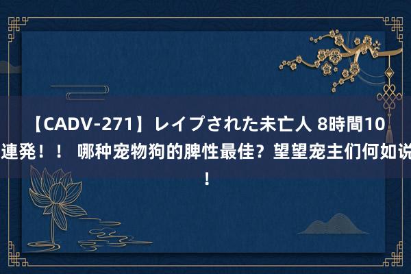 【CADV-271】レイプされた未亡人 8時間100連発！！ 哪种宠物狗的脾性最佳？望望宠主们何如说！