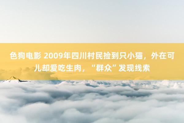 色狗电影 2009年四川村民捡到只小猫，外在可儿却爱吃生肉，“群众”发现线索