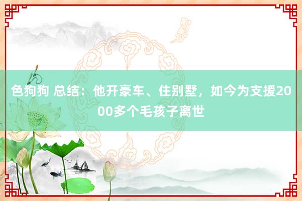 色狗狗 总结：他开豪车、住别墅，如今为支援2000多个毛孩子离世