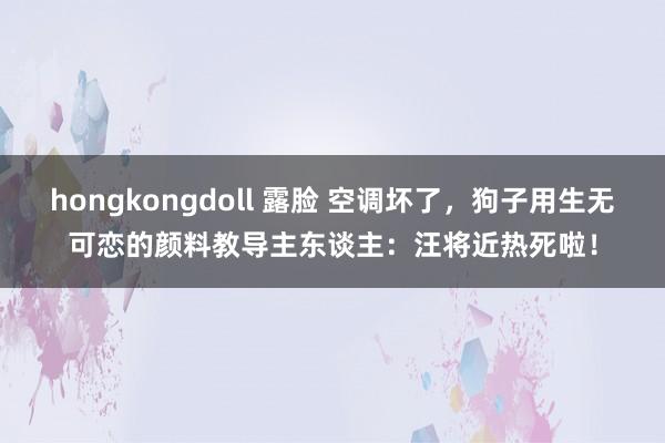 hongkongdoll 露脸 空调坏了，狗子用生无可恋的颜料教导主东谈主：汪将近热死啦！