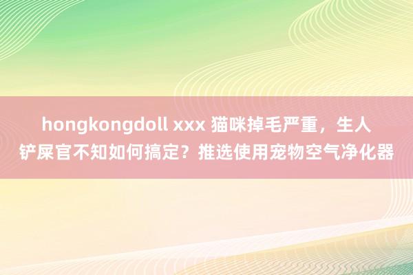 hongkongdoll xxx 猫咪掉毛严重，生人铲屎官不知如何搞定？推选使用宠物空气净化器