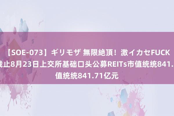 【SOE-073】ギリモザ 無限絶頂！激イカセFUCK Ami 截止8月23日上交所基础口头公募REITs市值统统841.71亿元