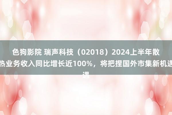 色狗影院 瑞声科技（02018）2024上半年散热业务收入同比增长近100%，将把捏国外市集新机遇