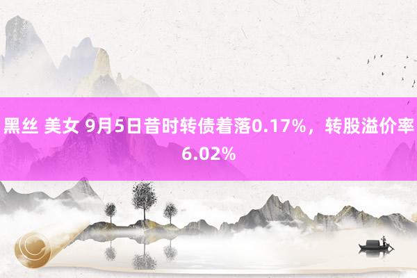 黑丝 美女 9月5日昔时转债着落0.17%，转股溢价率6.02%