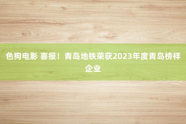 色狗电影 喜报！青岛地铁荣获2023年度青岛榜样企业