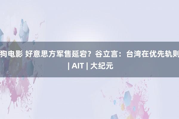 色狗电影 好意思方军售延宕？谷立言：台湾在优先轨则中 | AIT | 大纪元