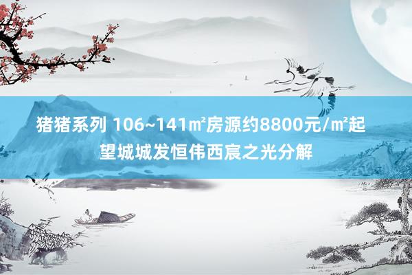 猪猪系列 106~141㎡房源约8800元/㎡起  望城城发恒伟西宸之光分解